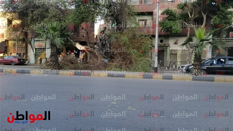سقوط شجرة عل الطريق
