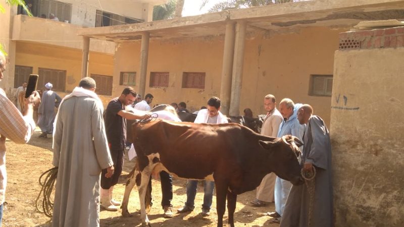 القوافل البيطرية