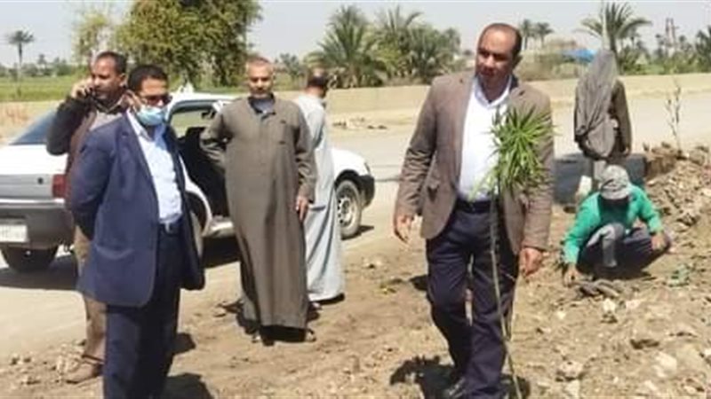 رئيس مدينة الواسطي