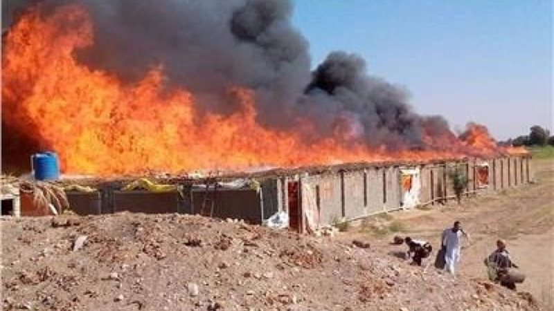 اشتعال حريق بمزرعة