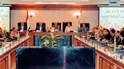 محافظ الجيزة يشيد بالمبادرة الرئاسية كتف في كتف