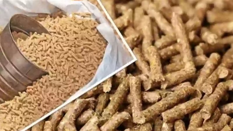 أسعار الأعلاف 
