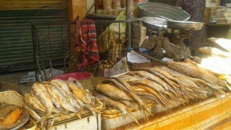 ضبط كميات أسماك فاسدة