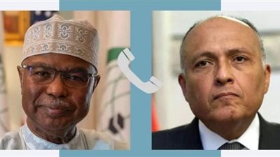 الخارجية المصرية ومنظمة التعاون الإسلامى يبحثان حل الأزمة السودانية