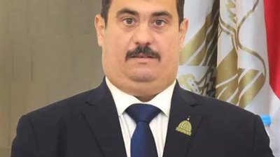 عضو لجنة الدفاع والأمن القومي :الدولة حرصت على المصريين في أزمة السودان 