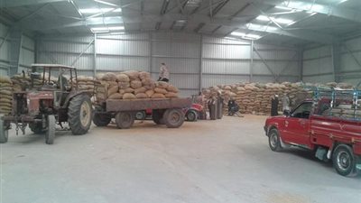 محافظ أسيوط يعلن توريد 1136 طن قمح للشون والصوامع حتى الآن