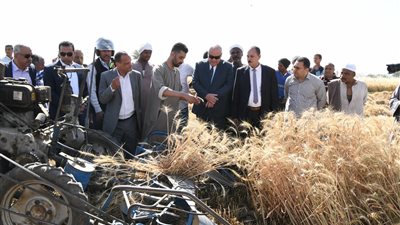 محافظ قنا يفتتح موسم حصاد القمح من داخل حقل بقرية دندرة