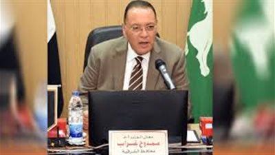 ضبط سيارة محملة بـ75 طن قمح قبل بيعهم بالسوق السوداء بالشرقية 