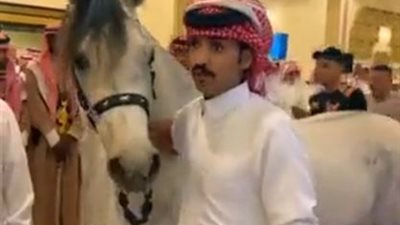 هدية قيمة.. شاب سعودى يهدى صديقه حصانا فى ليلة زفافه