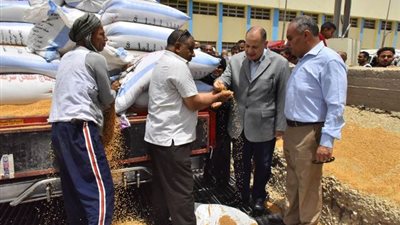 محافظ أسيوط يتابع عمليات استلام أطنان القمح 