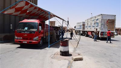 تموين المنيا: توريد 60 ألف طن من محصول القمح للشون والصوامع