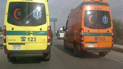 مصرع 14 وإصابة 27 آخرين.. تفاصيل حادث تصادم أتوبيس وشاحنة بطريق الخارجة أسيوط