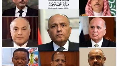 وزير الخارجية يتشاور مع نظرائه العرب والأفارقة حول الأزمات الإقليمية