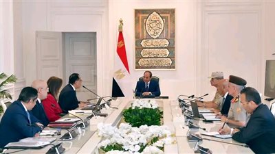 السيسي يتابع موقف انتقال الحكومة إلى العاصمة الإدارية الجديدة