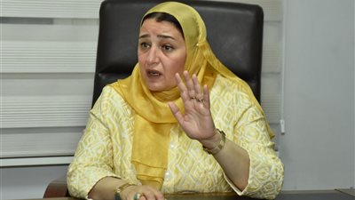 عبير عصام: «نثق في قدرة الدولة المصرية على تنمية الاقتصاد»