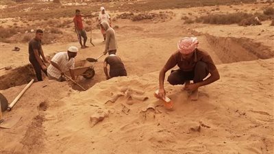 بعثة مصرية إيطالية تكتشف أواني وأمفورات رومانية في تل المسخوطة بالإسماعيلية