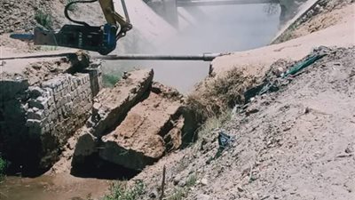 إزالة 58 حالة تعدي واسترداد 9 فدان زراعة ببعض مراكز أسيوط