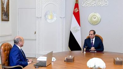 السيسي يبحث مع وزير العدل خطط تطوير منظومة التقاضي وقوانين الأسرة
