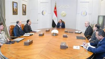 السيسي يستعرض مستجدات تطوير القاهرة التاريخية ومحيط قلعة صلاح الدين
