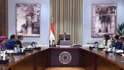 رئيس الوزراء يتابع مع وزير قطاع الأعمال العام عدداً من الملفات 
