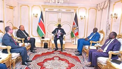 مصر وجنوب السودان تتشاوران لإيجاد حل سلمي للنزاع في الخرطوم