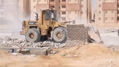 حملة واسعة لإزالة التعديات على أملاك الدولة في السويس