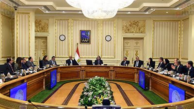 مجلس الوزاء يعلن نشر قوائم التخفيضات الجمركية وتمويل مشروع تكافل وكرامة