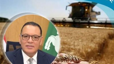 الشرقية تتصدر محافظات الجمهورية في إنتاج وتوريد محصول القمح الذهبي