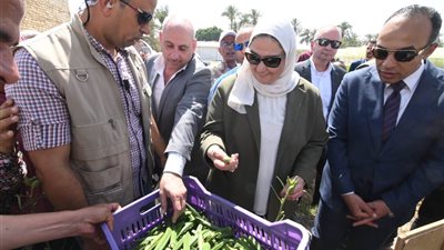 وزيرة التضامن الاجتماعي تزور قرية الشيخ مسعود بمحافظة المنيا