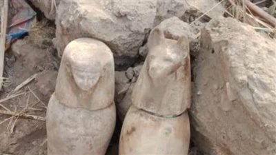 أثناء تنظيف الحشائش.. العثور على 4 تماثيل فرعونية بمنطقة إهناسيا ببني سويف