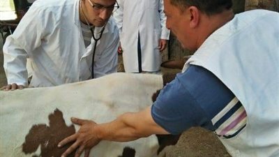 قافلة بيطرية مجانية من جامعة الزقازيق لخدمة الريف المصري