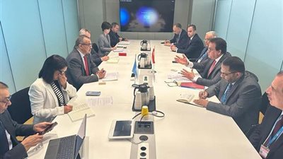 مصر تدعو منظمة الصحة العالمية للمشاركة في مؤتمر عالمي حول السكان والصحة