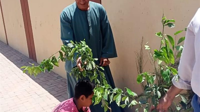 أعمال التشجير بأسيوط