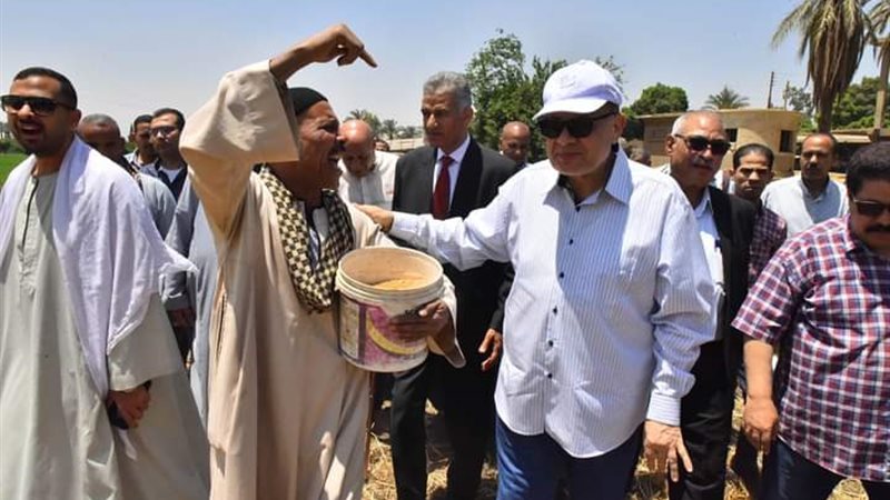 عمليات توريد القمح