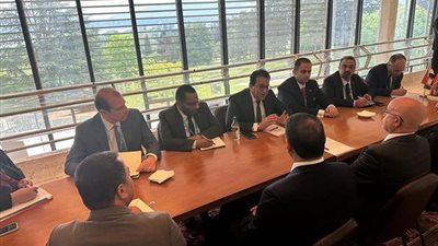 مصر والعراق تستعرضان آفاق التعاون الصحي في اجتماع بجنيف