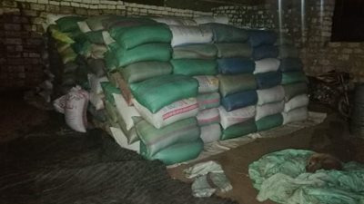 محافظ أسيوط: ضبط 680 طن قمح محلي محظور تداولها خارج منظومة التوريد