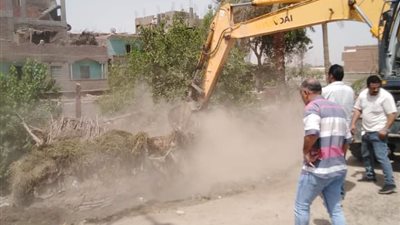 محافظ أسيوط يؤكد انتظام العمل بالمرحلة الثانية من الموجة 21