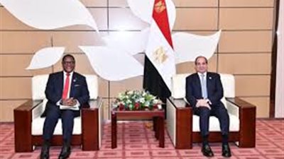 السيسي يلتقي رئيس مالاوي خلال مشاركته في تجمع الكوميسا