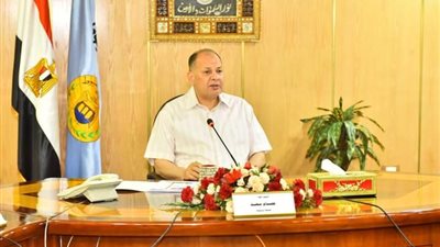 ضبط سيارة نقل محملة بـ9 طن قمح فاسد قبل توريده للشون بأسيوط