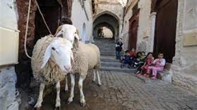  عيد الأضحى.. ذكرى تضحية إبراهيم وإسماعيل وفرحة المسلمين