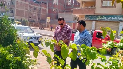 محافظة البحيرة تزرع أكثر من 283 ألف شجرة 