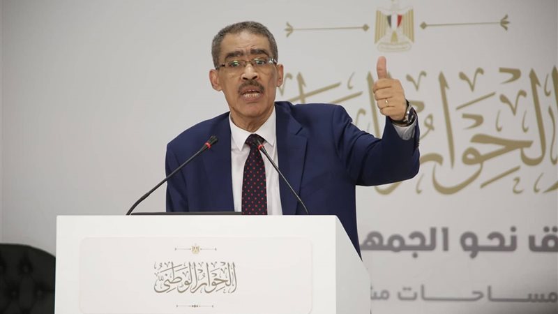 ضياء رشوان المنسق