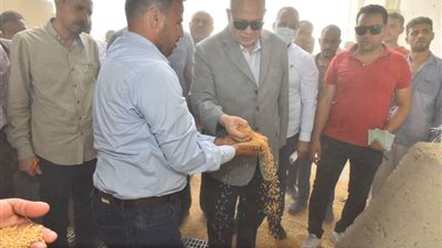محافظ أسيوط يعلن استمرار أعمال توريد القمح حتى اليوم السبت