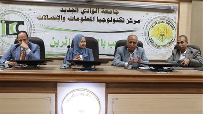 أيادي مصرية.. مشروع تخرج يدعم رؤية مصر 2030 بإعلام الوادي الجديد 