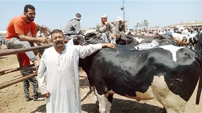 تراجع أسعار العجول والأغنام والماعز قبل أيام من عيد الأضحى