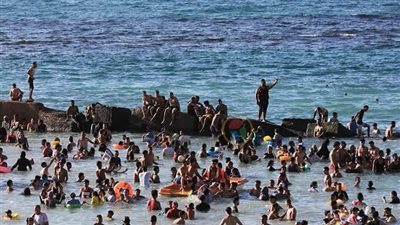 «جبر الخواطر».. محافظ الإسكندرية يستجيب لسيدة وأبنائها لقضاء مصيف بـ500 جنيه