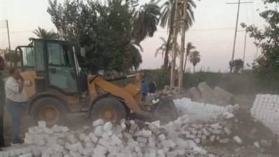 غدا.. المنيا تبدأ حملات المرحلة الثالثة من الموجة الـ21