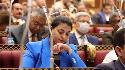 النائبة هند جوزيف: ثورة 30 يونيو نقطة تحول في حياة المرأة المصرية 