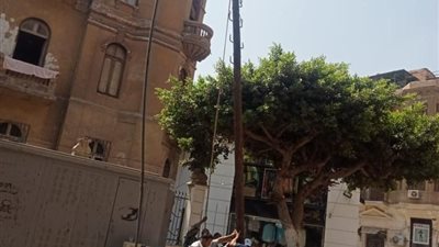 وزارة التنمية تحل مشكلة سقوط نخلة بمنزل عباس العقاد