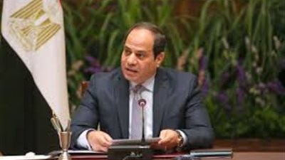 السيسي يدعو إلى وقف النار في السودان ويشيد بدور دول الجوار